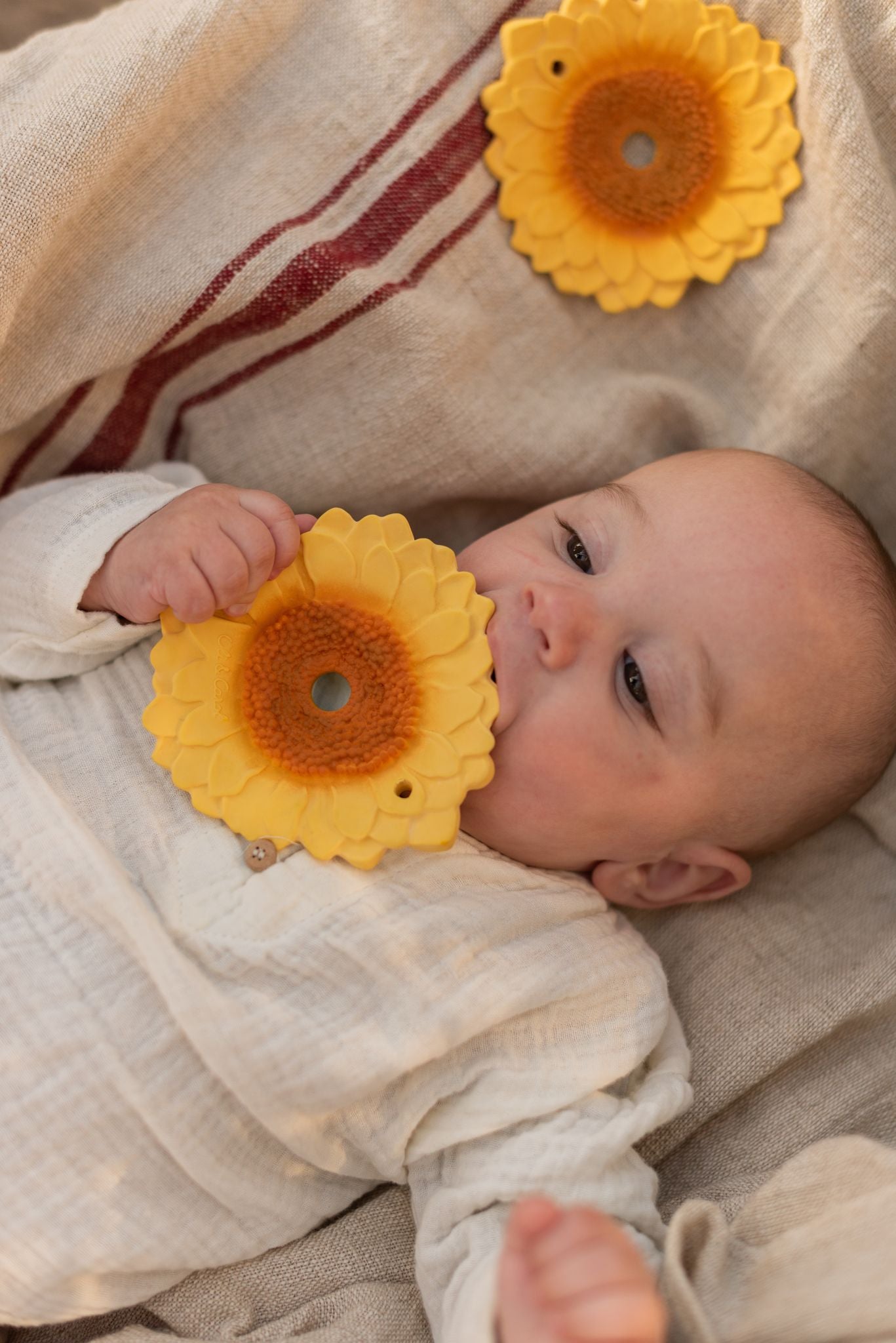 Grizalo Sun the Sunflower