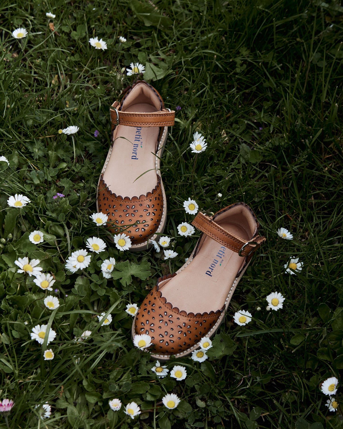 Ladida Flower Cognac