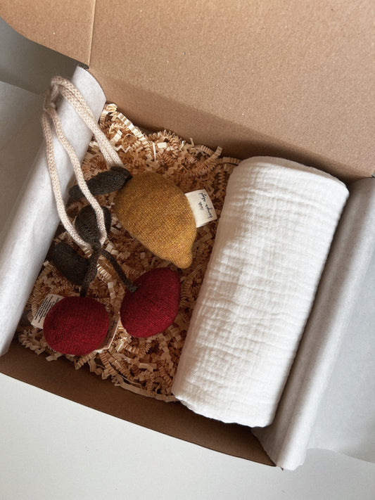 Darilni paket | Češnjica