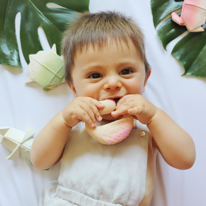 Sky the Flamingo teether